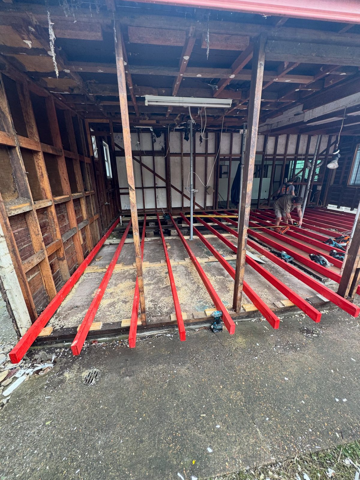Timber frame and subfloor checked for termites in Newcastle